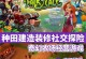 《探索手游攻略大全》（解锁无限乐趣，成为顶尖探索者！）