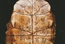 龟甲出装铭文攻略（探秘龟甲出装铭文的最佳搭配，提升英雄在游戏中的生存能力）