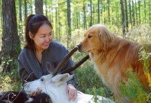 《掌握胜利的关键——英雄萨玛3全面攻略》（事半功倍，解锁胜利之门）