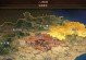 率土之滨手游新地图攻略（玩转全新地图，征战新篇章，掌握胜利的关键！）