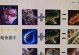 云顶之弈星龙出装攻略（打造最强星龙阵容，征战云顶大陆）