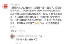 《反斗联盟》夺羊模式玩法介绍（挑战你的抢夺能力，成为夺羊之王）