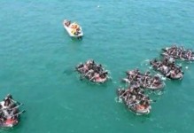 《精英突击队手游攻略大全》（全面指导，助你成为顶尖玩家）
