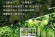 生存森林攻略（极限挑战，唯有智慧与勇气能让你活下来）