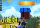 特种大作战攻略（揭秘特种大作战游戏中的致胜策略，让你成为无敌战士！）